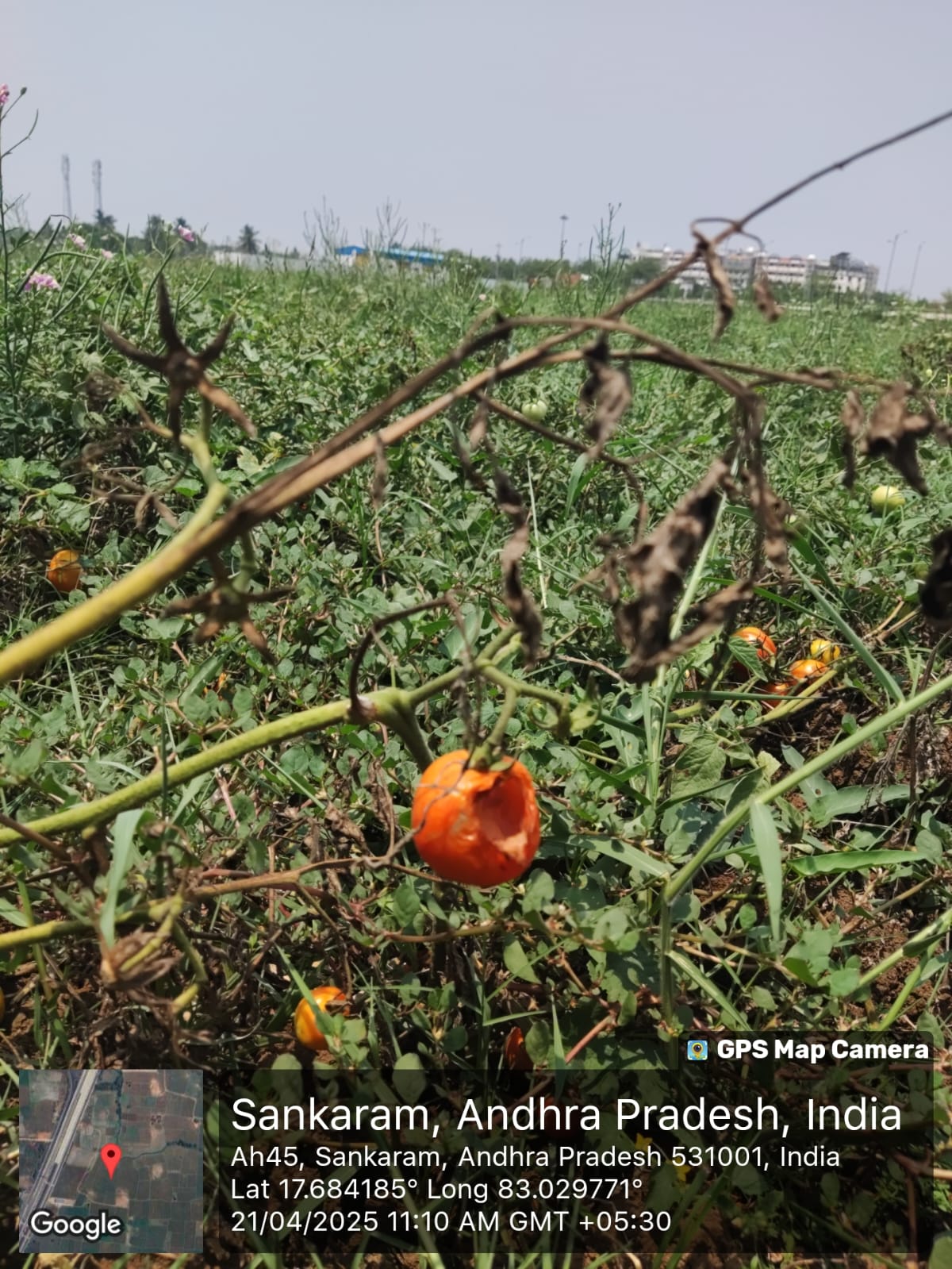Organic Farming Awareness Program photograph 1
