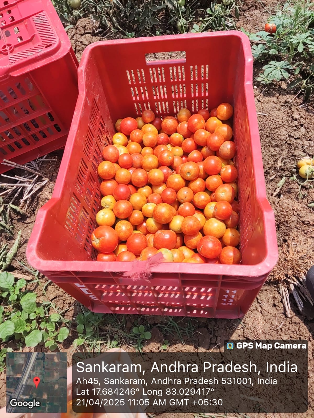 Organic Farming Awareness Program photograph 2